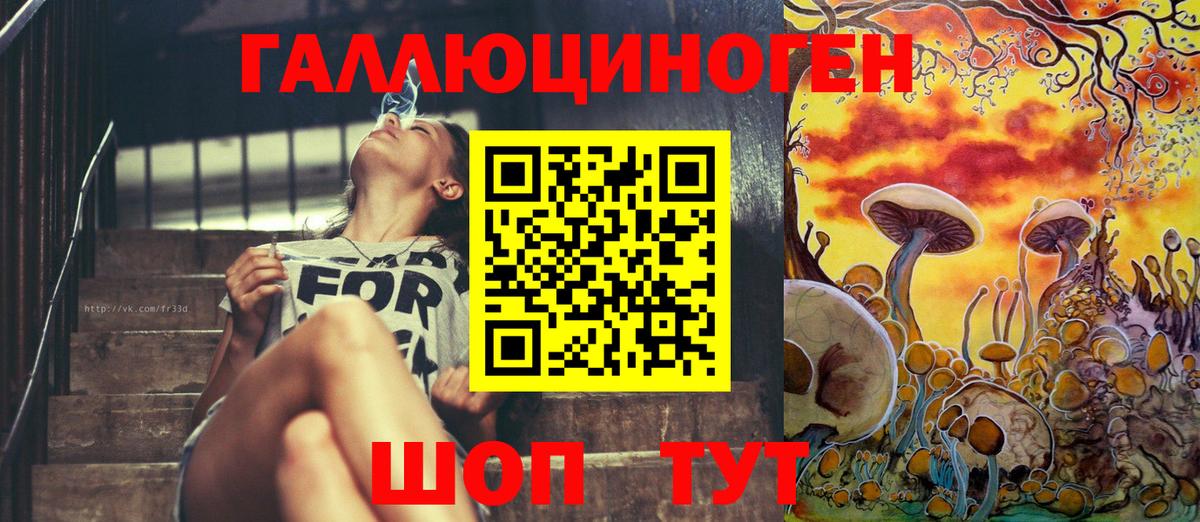 Псилоцибиновые грибы мицелий Бирск